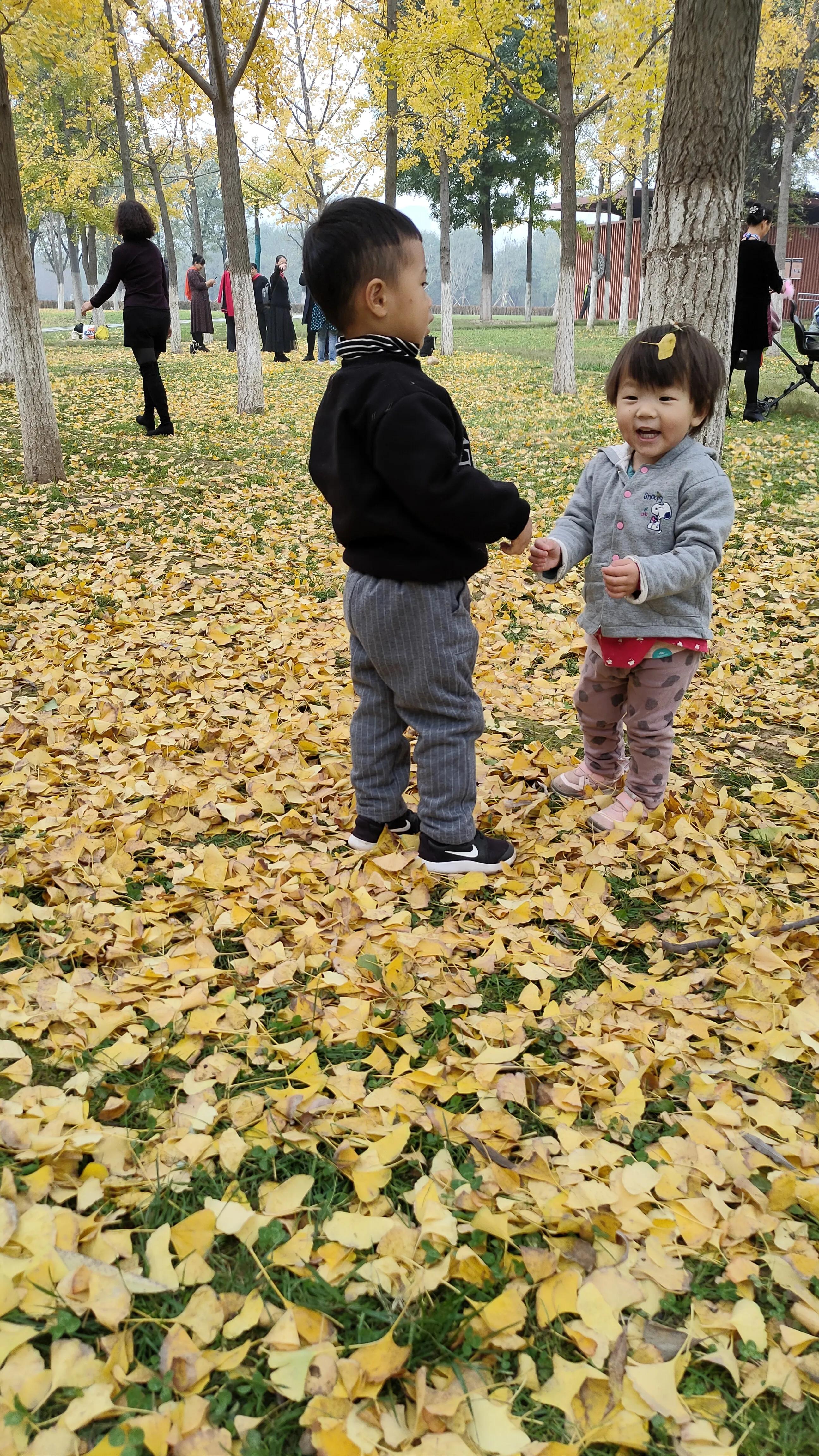 探寻西安大明宫国家遗址公园攻略,西安的大明宫遗址公园