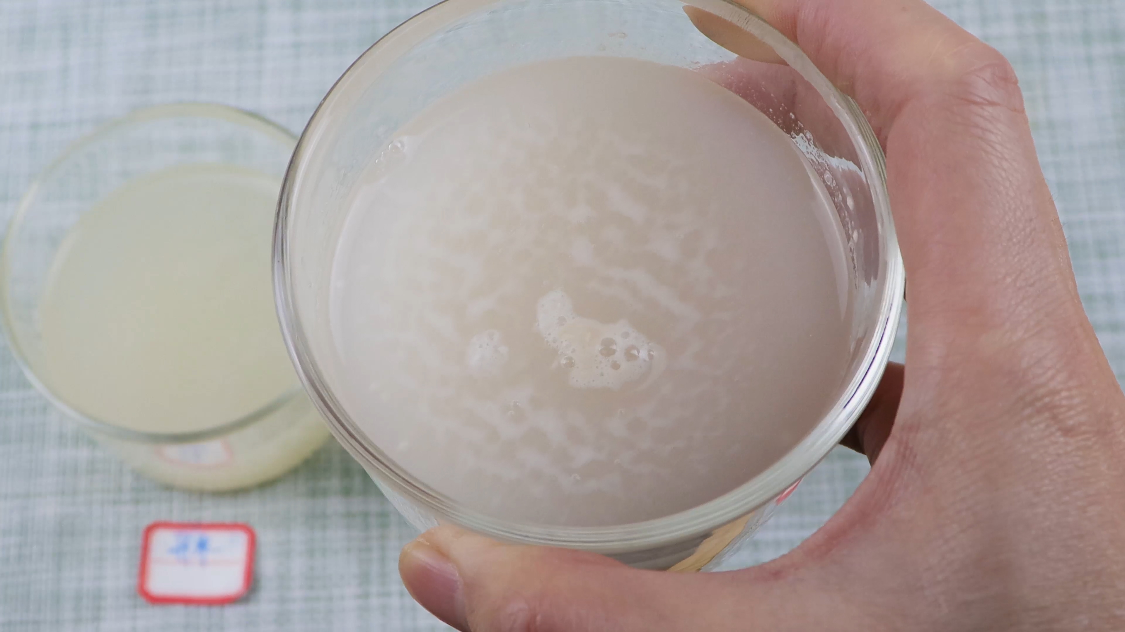 酵母粉发酵面需要发多久,酵母粉小妙招