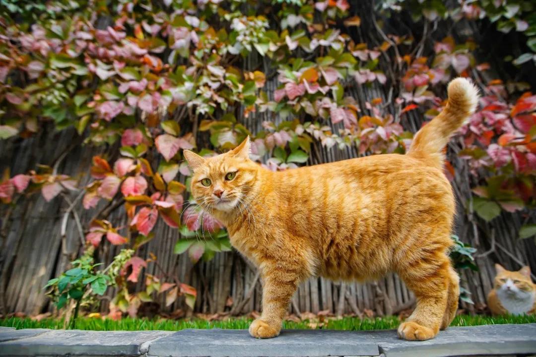 大家期盼的真实事件,掉缸事件怎么处理