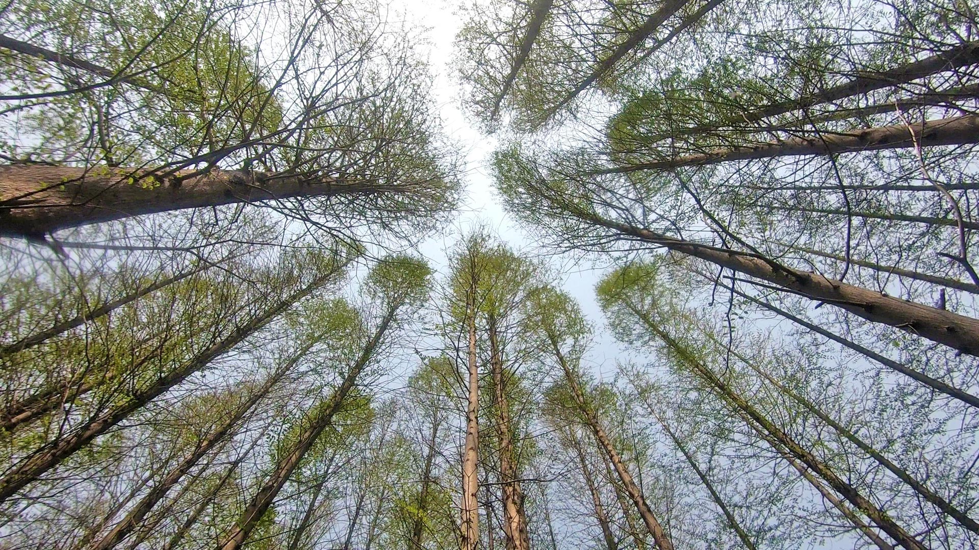 济南周边2-3天短途海边旅游,日照济南一日游