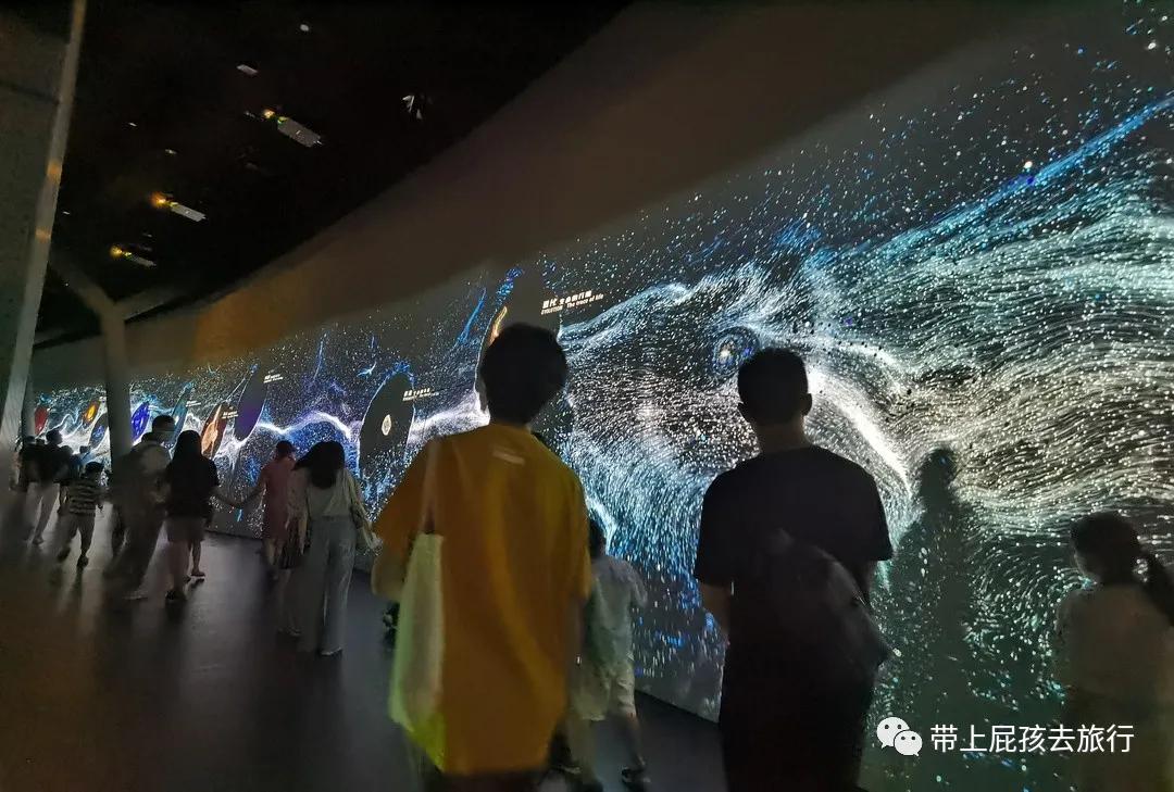 上海天文馆和科技馆哪个更值得去,上海天文馆两小时游览攻略