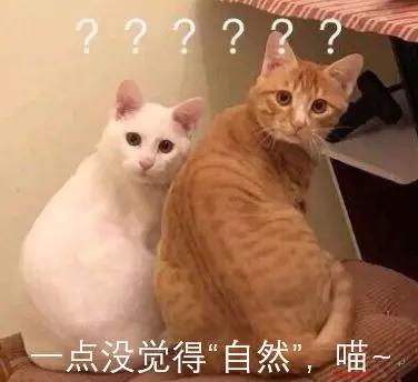 自然常数e是怎么算出来的,自然常数e的由来和意义