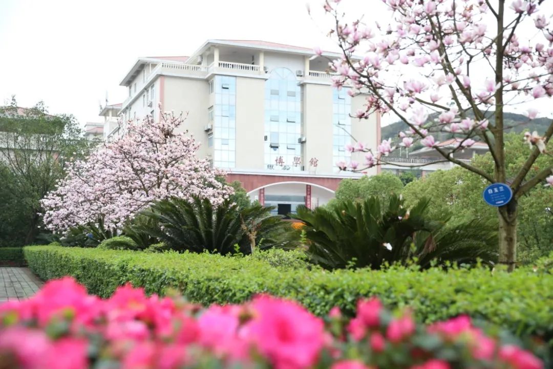 助力市运|重庆城市职业学院