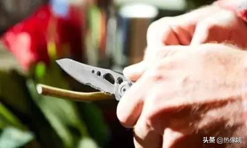 打猎高手被打脸:误把家猪当成野猪打!夏季热像仪狩猎指南