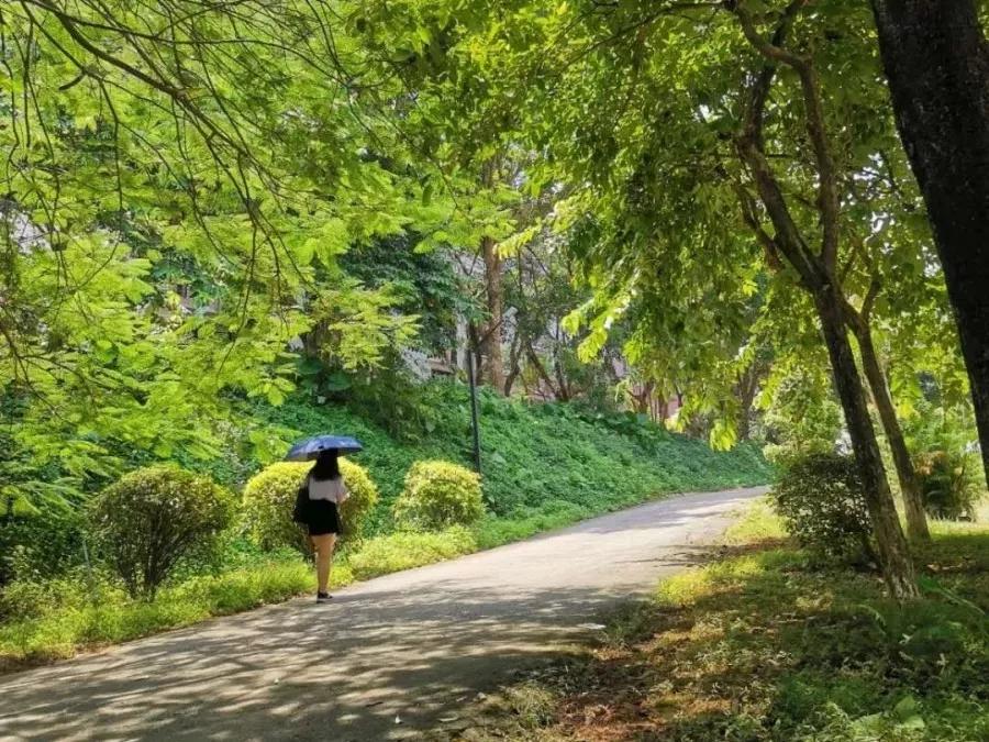 广州松田职业学院介绍,广州松田职业学院百科