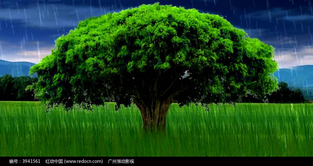 时间都去哪了？碎片化学习帮你加持