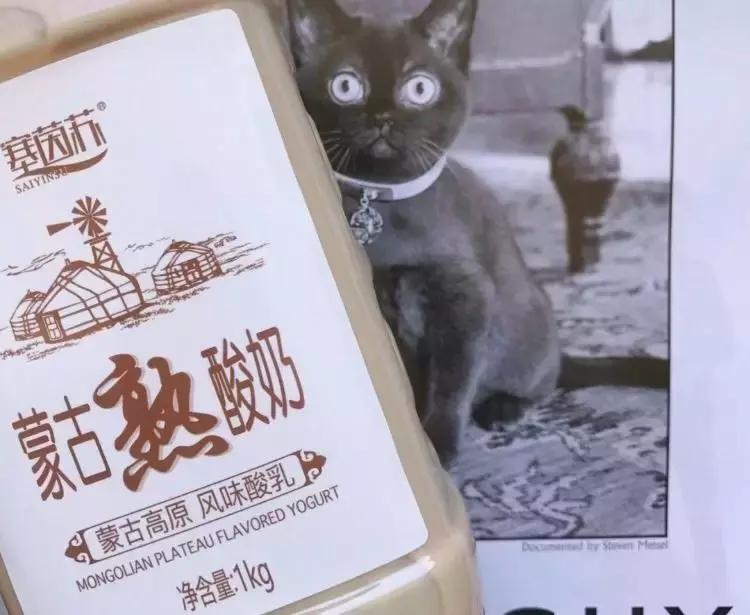 安利一款好喝饮料,安利的酸奶