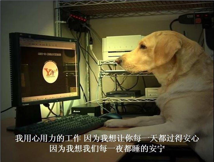 我只想说声爱你,只想再爱你一次