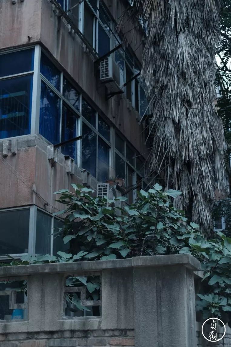 彩虹厂的辉煌历史,彩虹厂工人