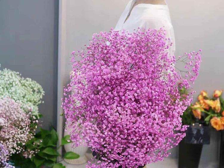 怒放的生命原唱完整版,怒放的生命