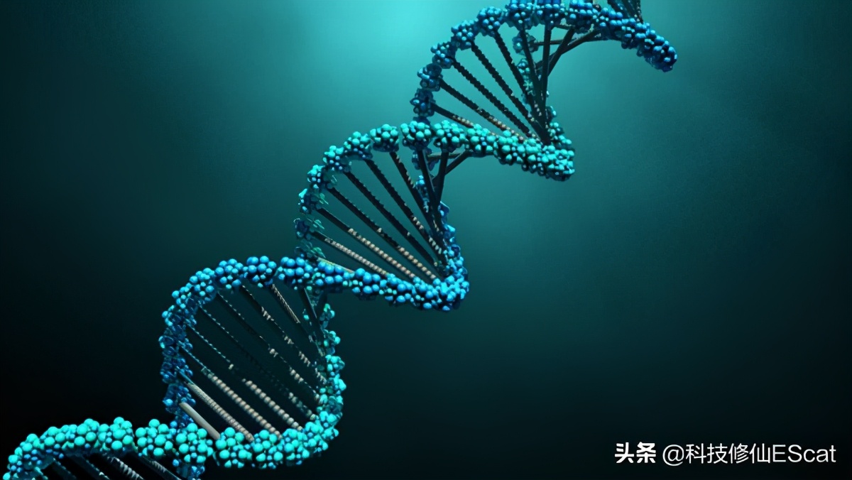 食用菠菜对人体有好处吗,吃菠菜可以预防什么疾病