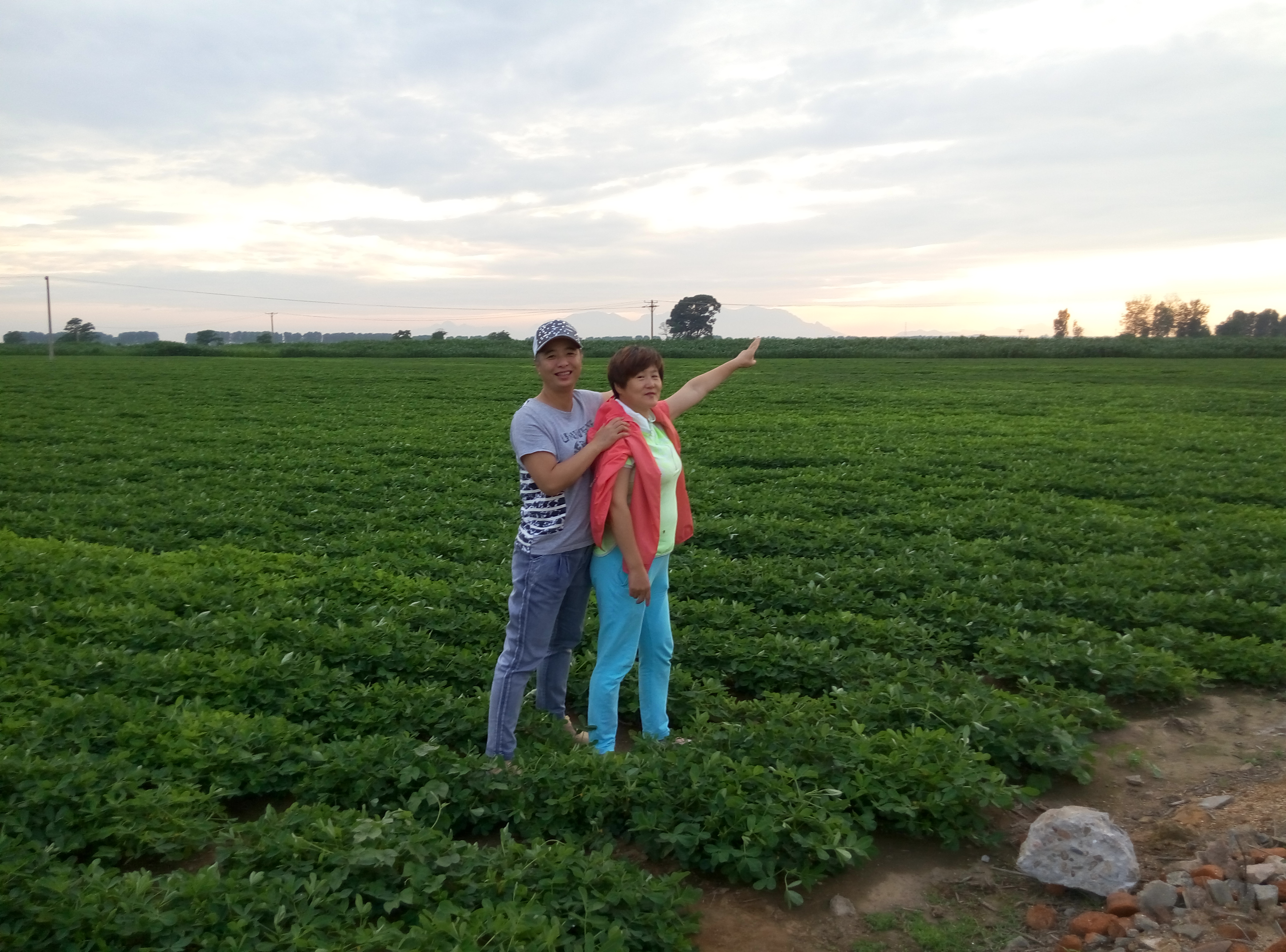 东戴河海滩美景尽收眼底,海水清澈波光粼粼