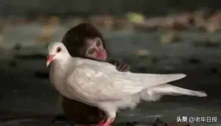 朋友圈最火的6张图片道破人性,朋友圈最火的4张图片道破人性