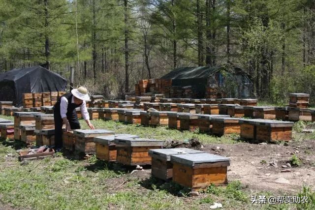 乾隆皇帝宠爱女人,乾隆皇帝宠爱七公主