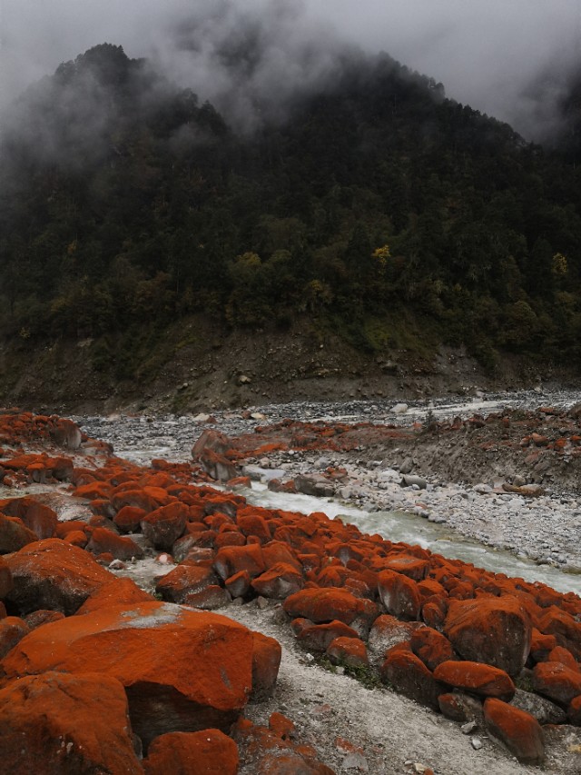 大美川西贡嘎燕子沟,甘孜燕子沟二日游攻略