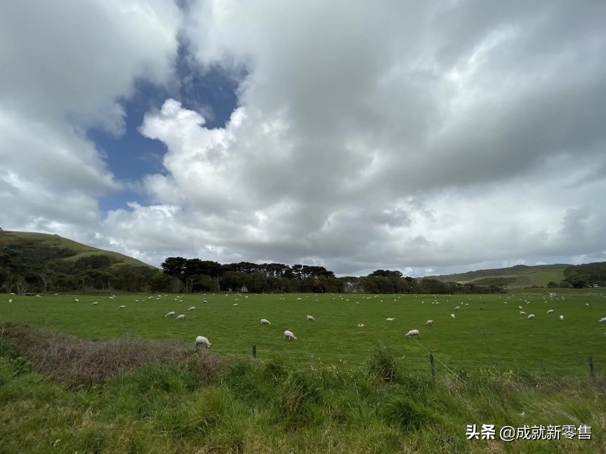 跨境网络营销选品案例分享,跨境电商平台营销的发展