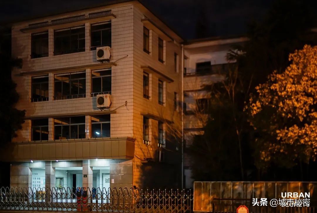 从学霸到赌王再到上市公司老总,浙大化学系学霸到服装公司上市