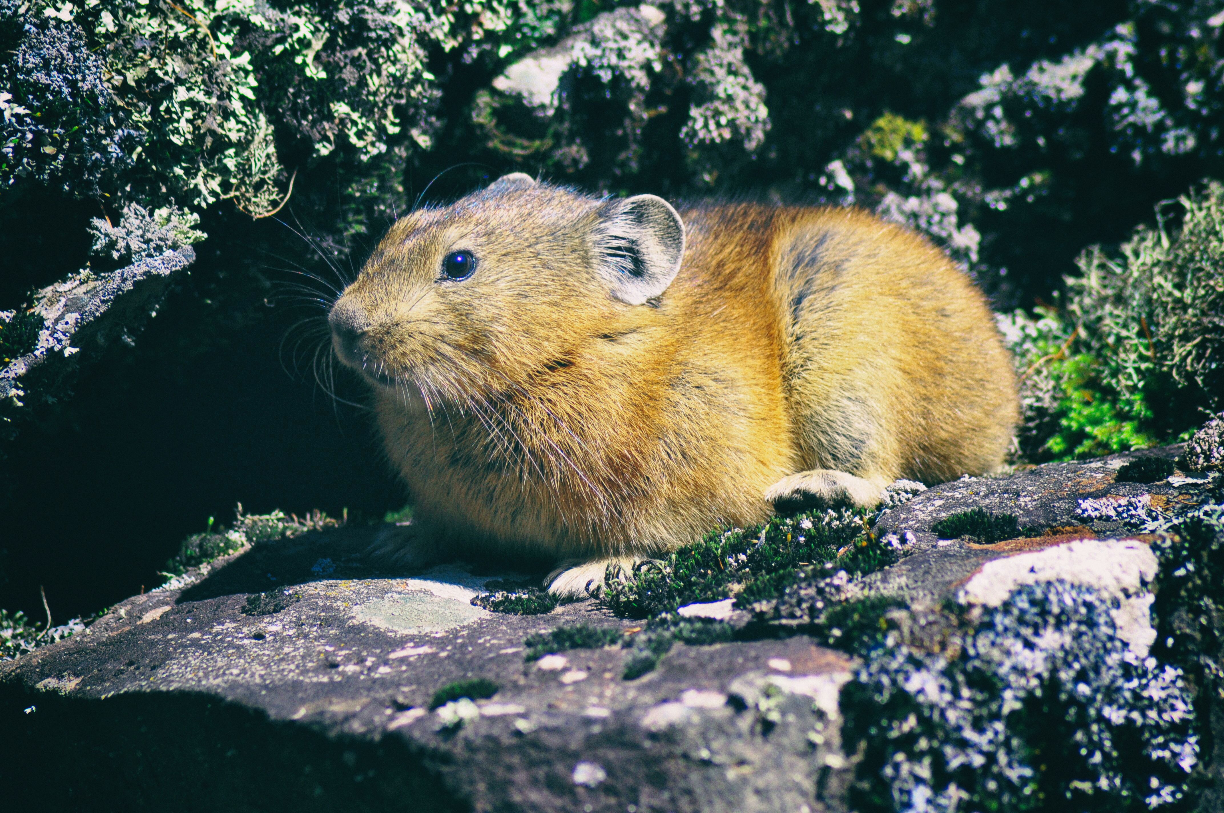 被称为东方瑞士的地方,号称东方瑞士