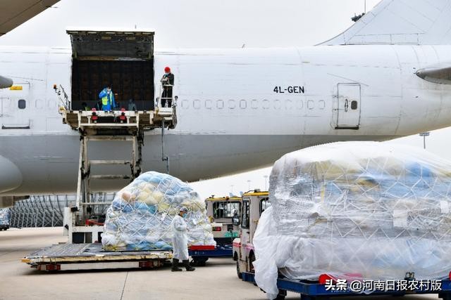 郑州欧洲专线,郑州至欧洲货运航线