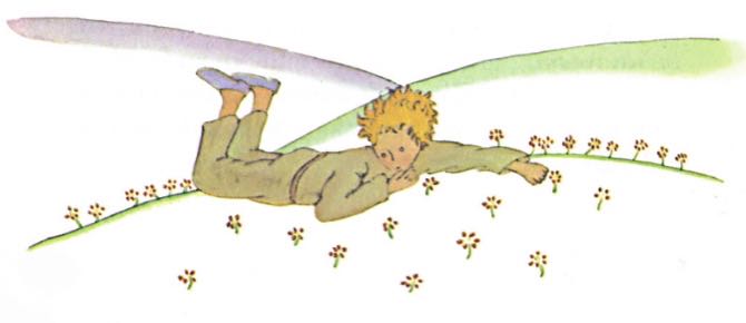 豆瓣9.0分的《小王子》：一本写给妈妈的书，请呵护好你的玫瑰