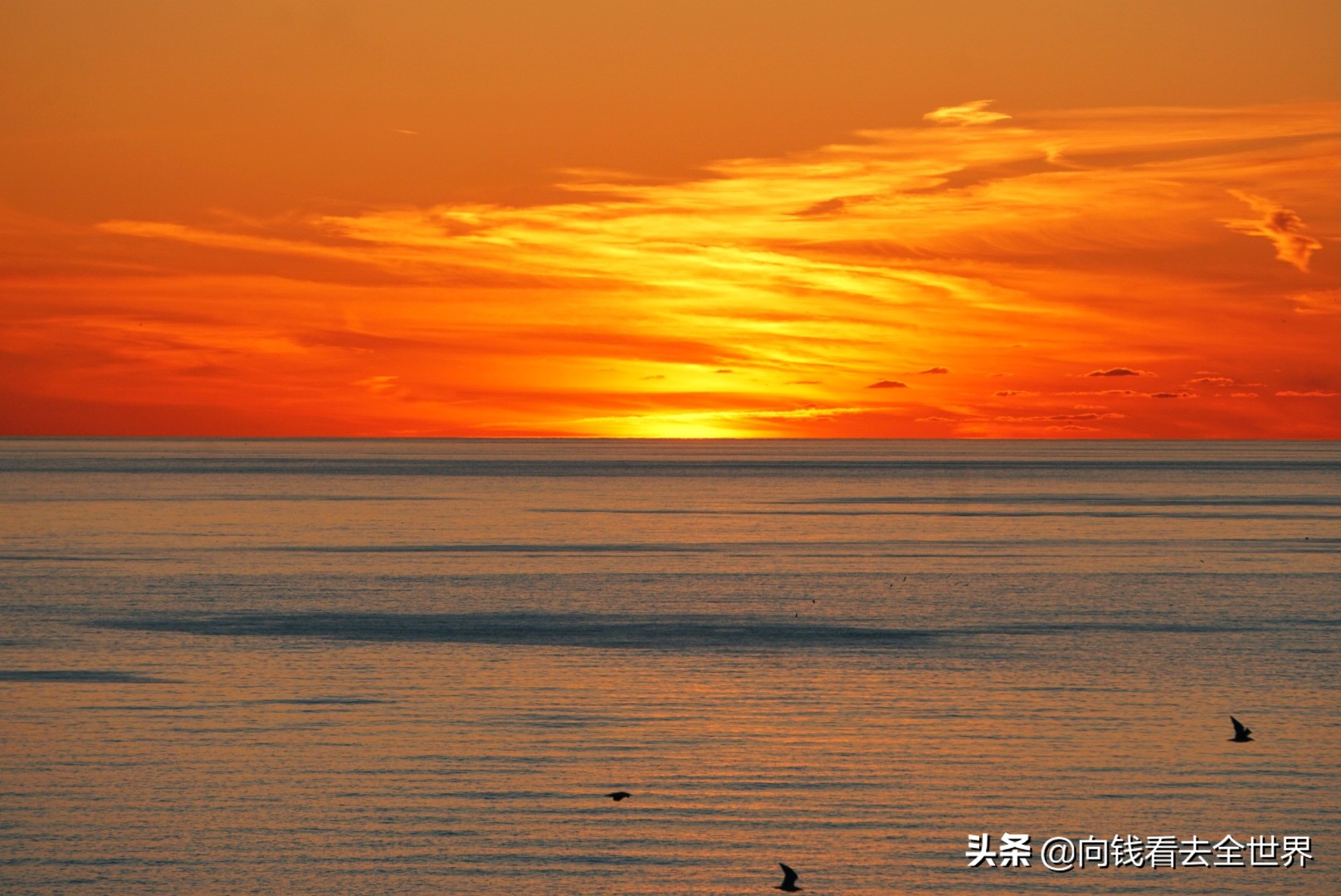 出去玩订好的酒店,出去玩订酒店都要考虑很久