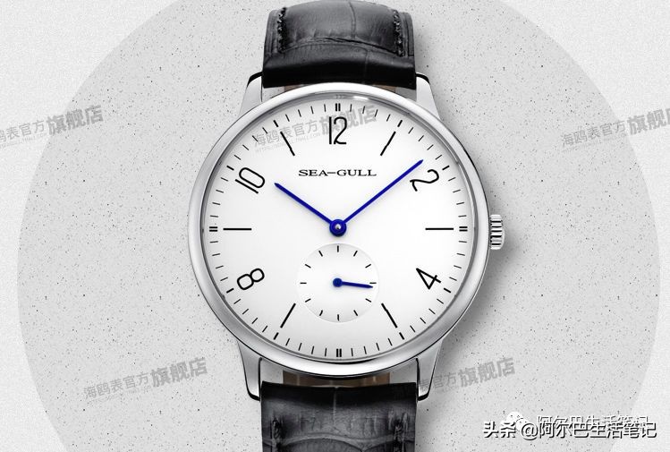 我和我的国产车环球旅行,国产表国货之光