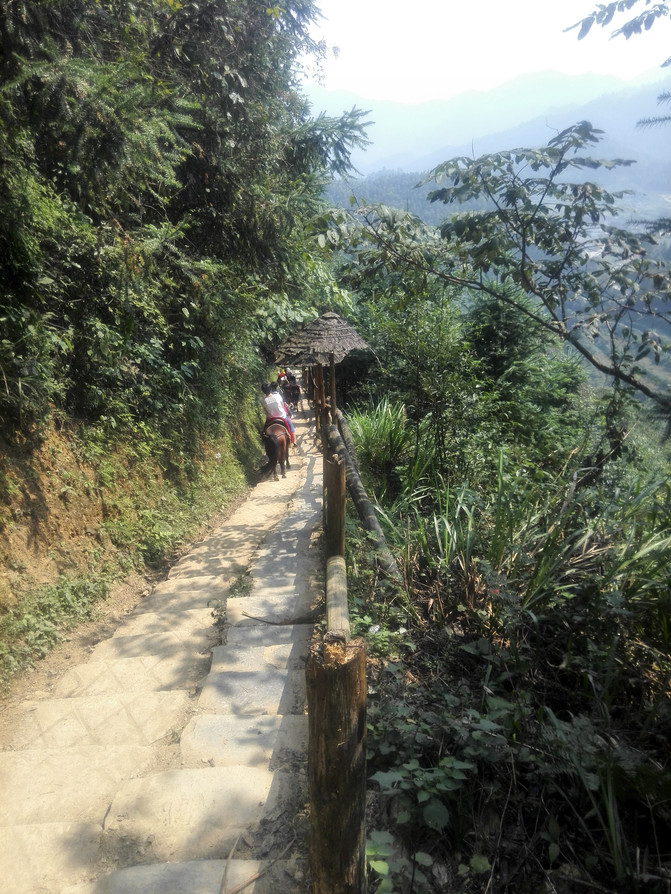 益阳市内有什么旅游景点好玩,湖南省益阳市旅游景点排名