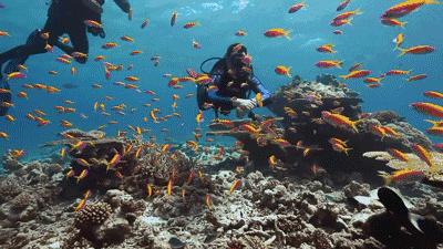 八年级液体压强题,八年级液体的压强的大小微课