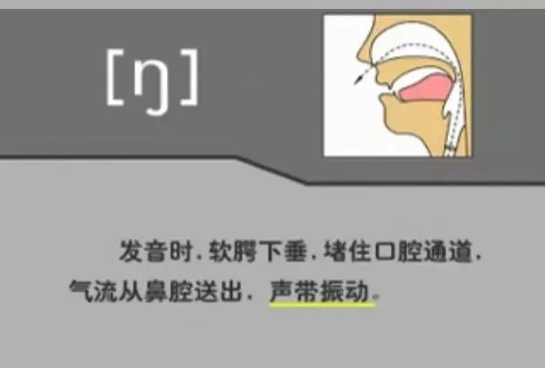 英语音标发音表48个音标正确读法,英语干货48个音标快速记忆法下