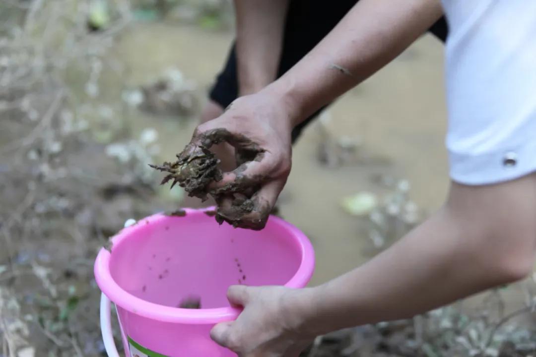 快艇摩托艇极速沙发SUP板…桐洲岛亚联飞行营地“上新”水上玩法!想体验吗?免费