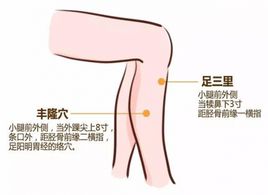 喝凉水都胖吃什么特效药,喝凉水都发胖中医怎么调理