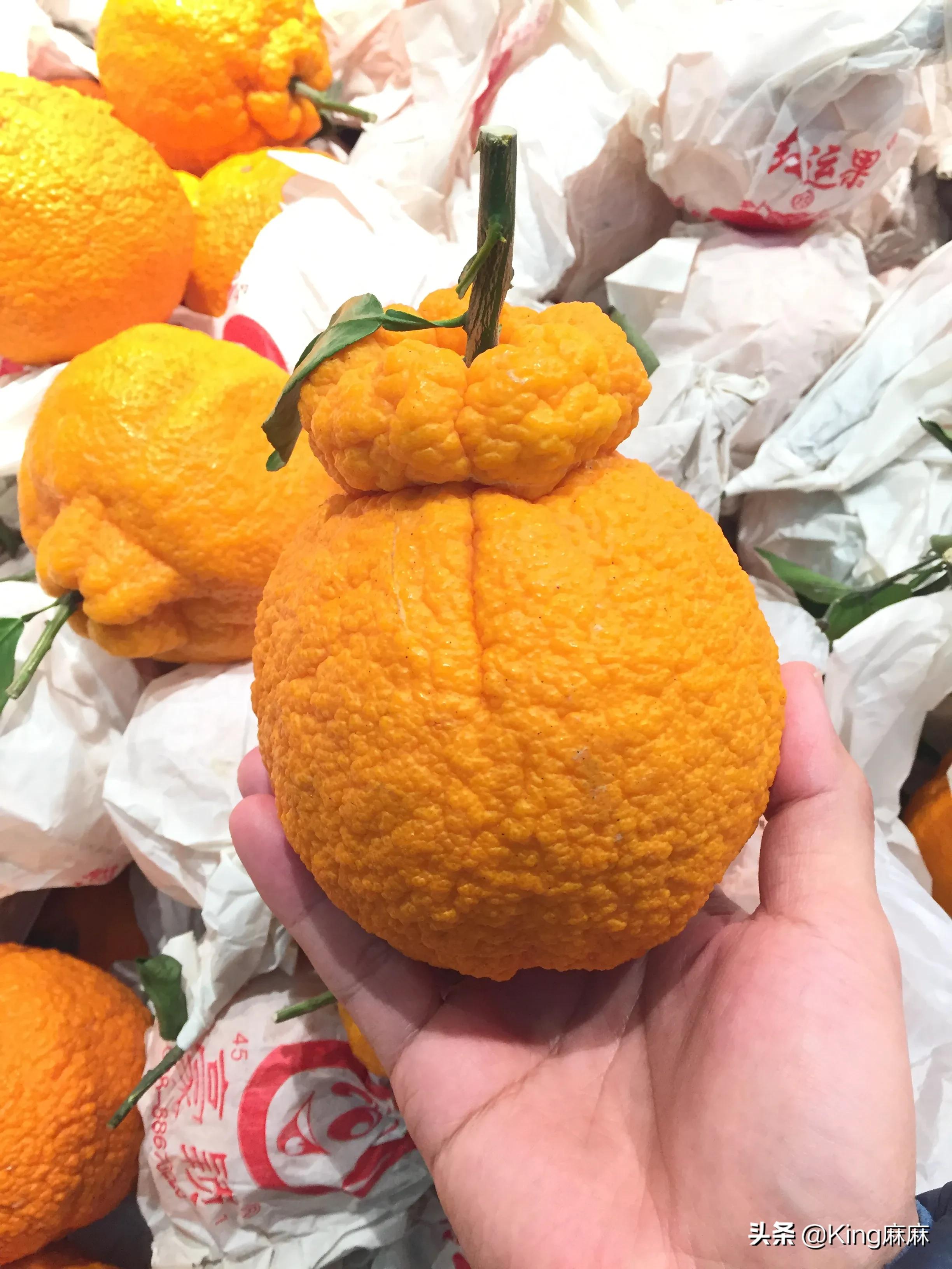 丑柑分公母吗,不知火丑柑怎么挑公母