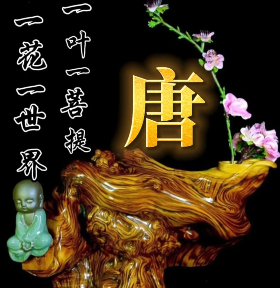 一花一世界一叶一菩提头像,一叶一菩提禅意微信头像