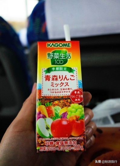 日本关西京都奈良旅游,日本关西自由行之奈良