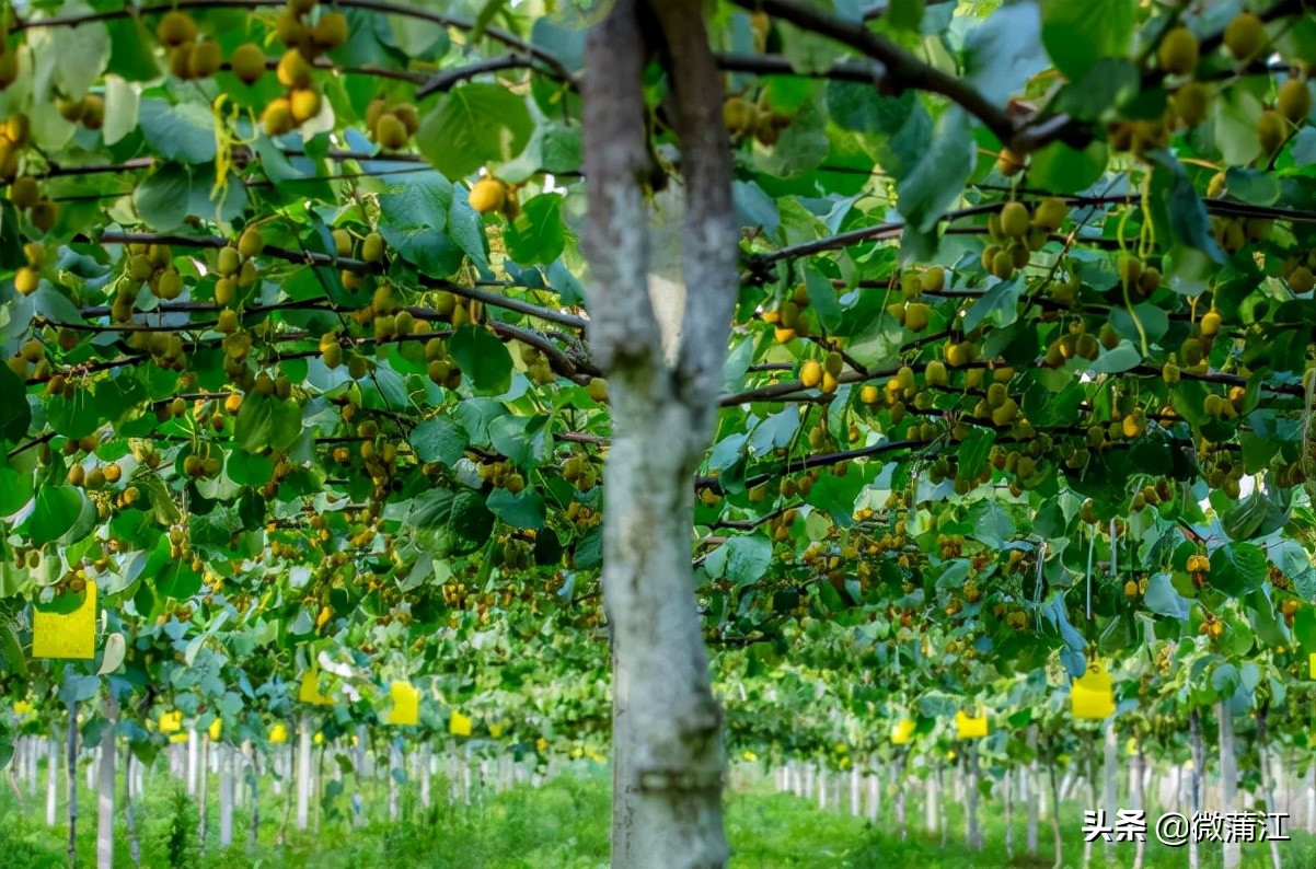 社会满意度考评,社会公众满意度测评宣传图片