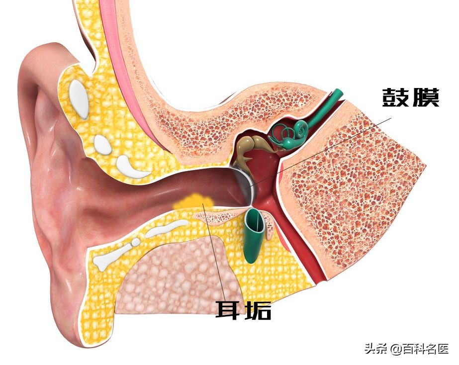 抠倒刺、抠痘痘、抠耳朵、抠鼻孔，请你不要到处抠抠