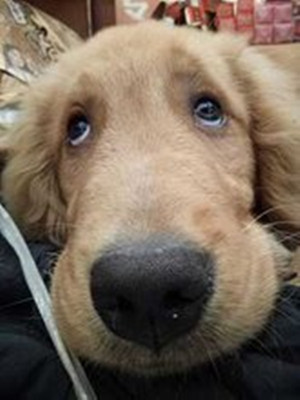 娶到一个特别懒的女人怎么办,娶一个又懒又馋的女人会怎样