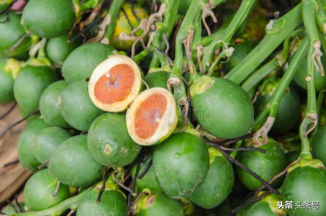 嚼槟榔舌癌,嚼槟榔有什么危害