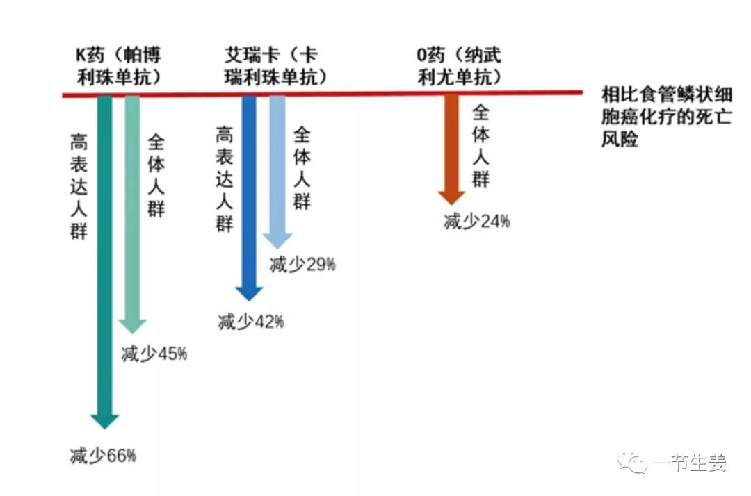 食管癌免疫治疗怎么样,食管癌免疫治疗的现状及展望