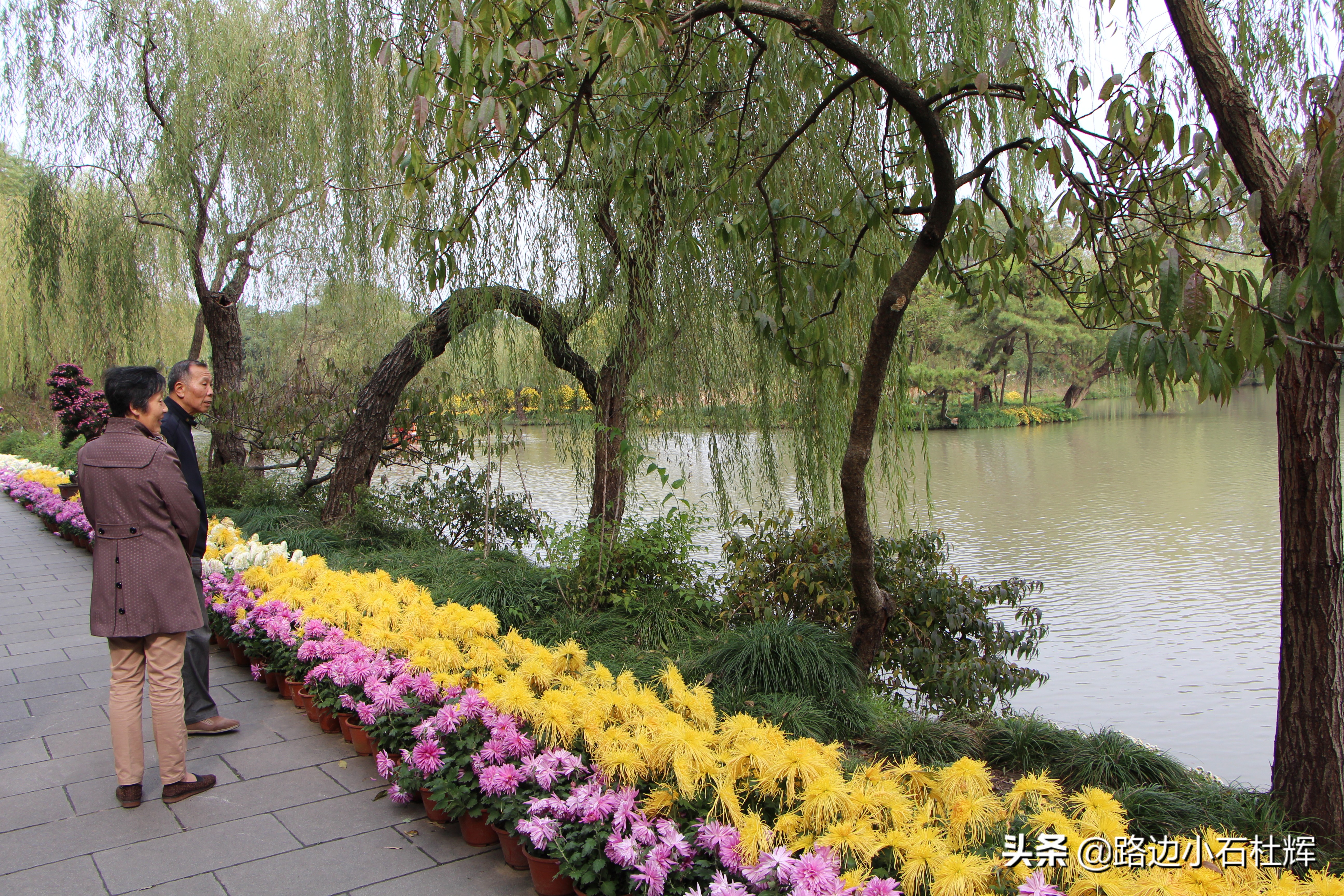 扬州瘦西湖之行,扬州瘦西湖游一圈