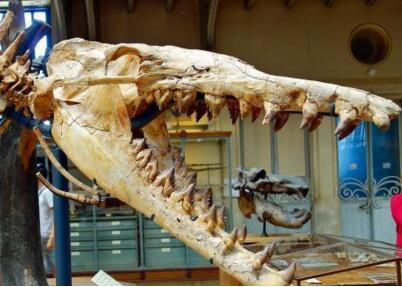 有图有真相有依据,有图有真相眼见为实