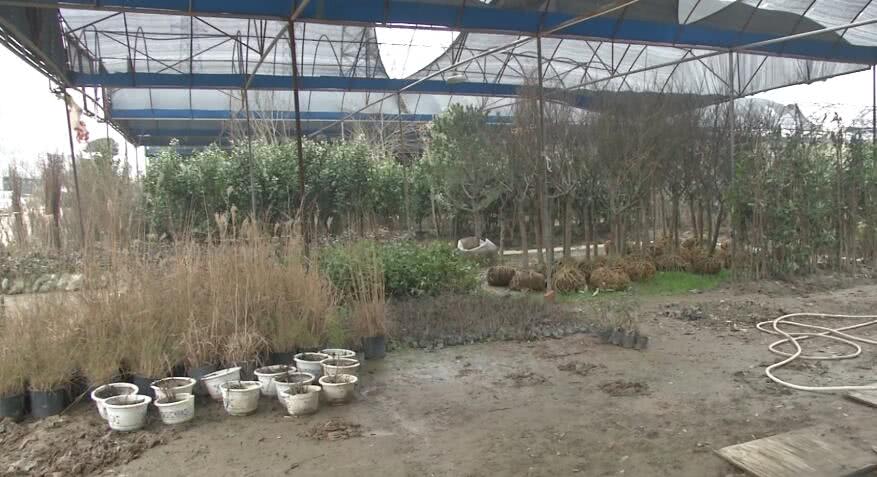 农民为什么抢种抢收,农民纷纷种植但又降价的东西