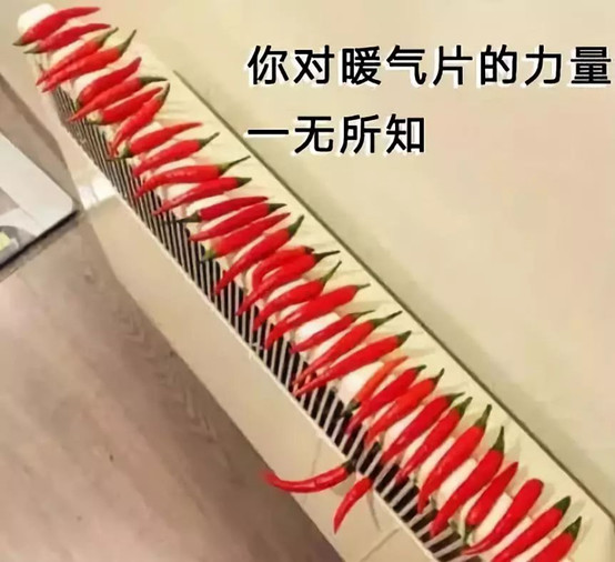 一入冬，我的命就是暖气给的