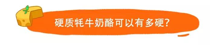 纯牦牛奶酪,西藏牦牛奶酪怎么吃