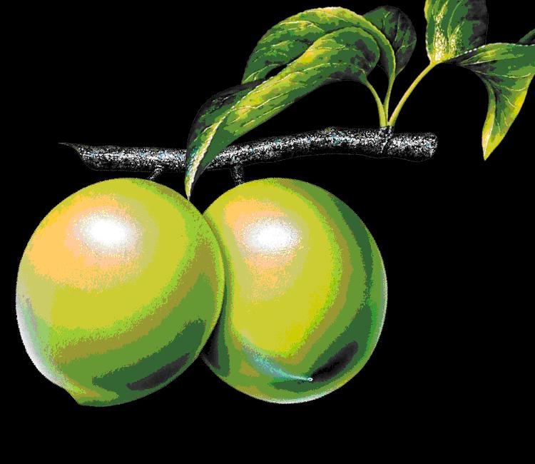 大年初五群相册，有群的都看看，太美了，这辈子见一次值了