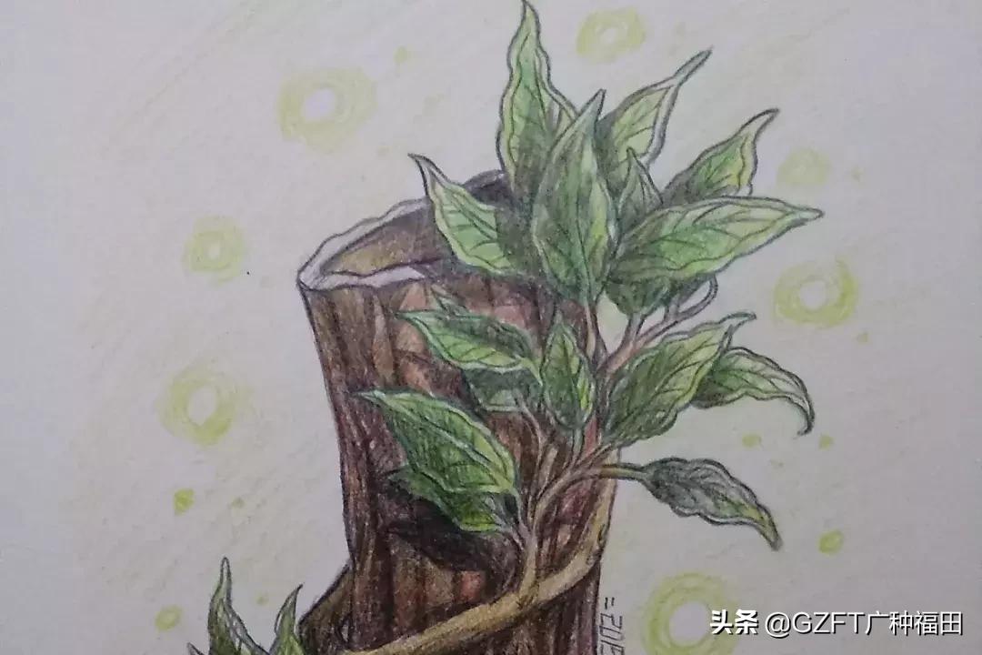 八字命里缺什么最好,命理中生辰八字缺什么