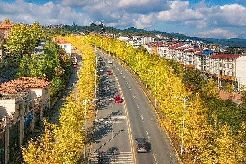 重庆空气质量排行榜,重庆的空气质量全国排名第几名