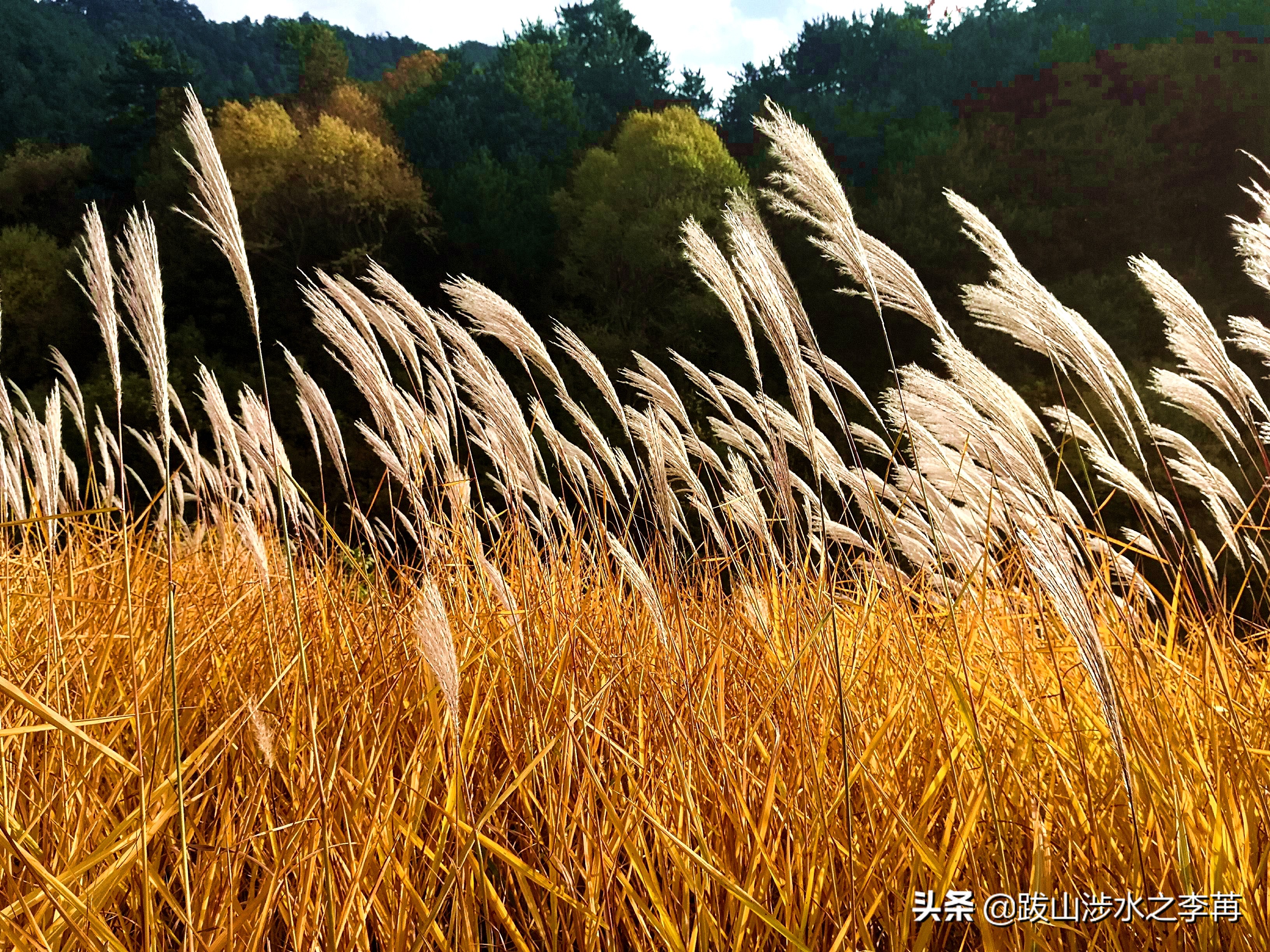 深藏在太行山中的古村落竹林沟,深山沟里的绝世古村