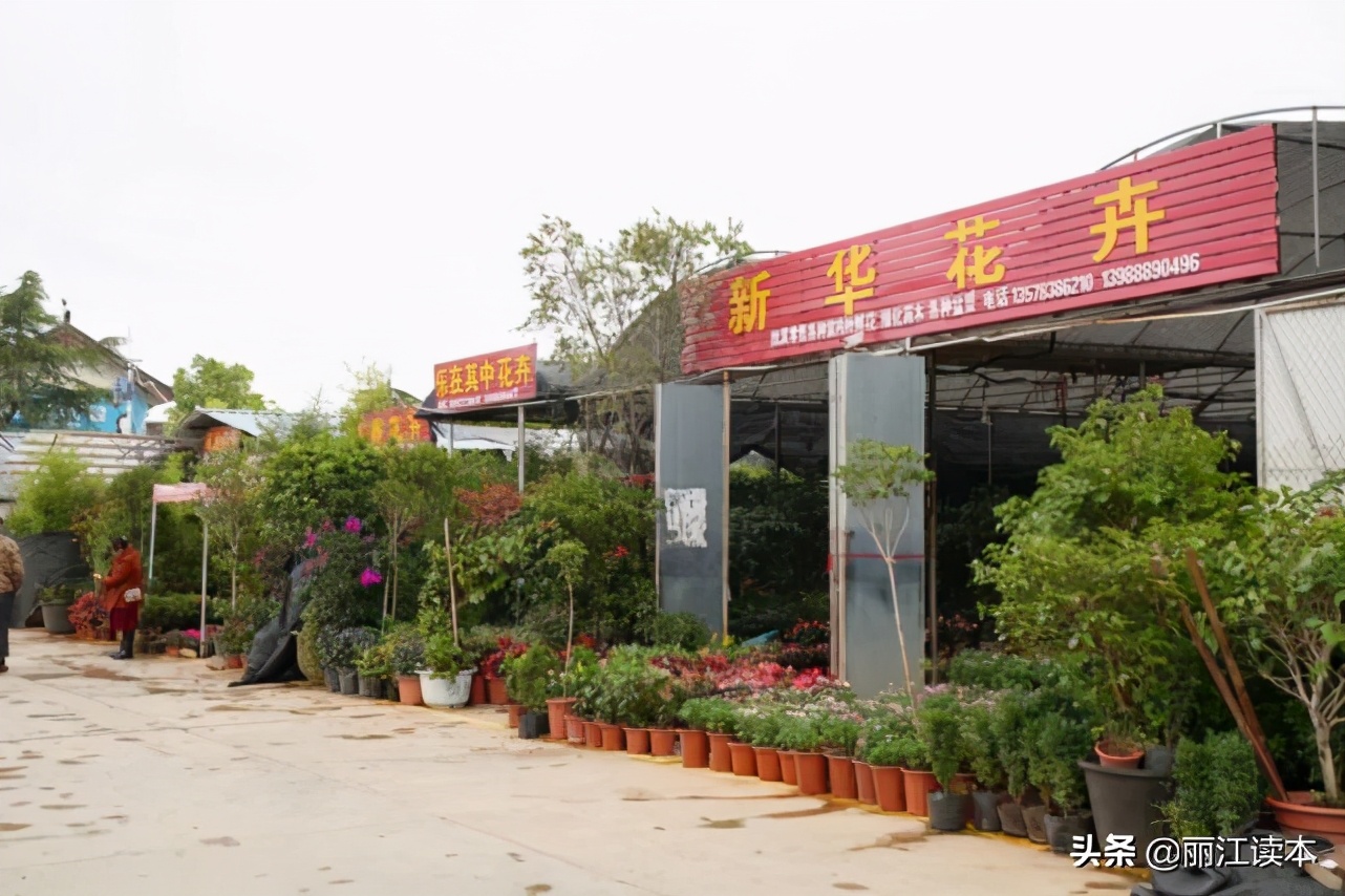 金甲和忠义市场,象山市场和金甲市场哪个好