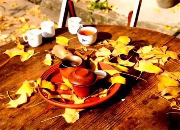 南雄最美银杏,广东美丽的银杏图片